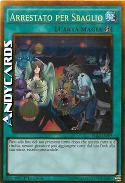 ARRESTATO PER SBAGLIO