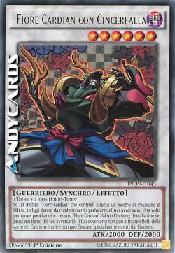 FIORE CARDIAN CON CINCERFALLA