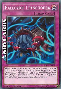 PALEOZOIC LEANCHOILIA