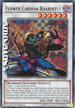 FIORE CARDIAN CON CINCERFALLA