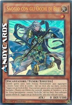 SAGGIO CON GLI OCCHI DI BLU