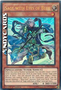 SAGGIO CON GLI OCCHI DI BLU