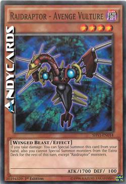 RAIDRAPTOR - AVVOLTOIO VENDICATORE