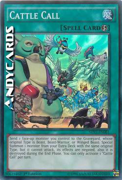 RICHIAMO DELLA MANDRIA