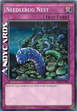 NIDO DEGLI SCARAFAGGI PUNGIGLIONE