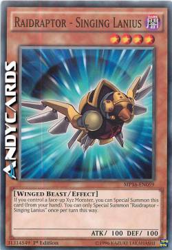 RAIDRAPTOR - LANIUS CANTERINO 