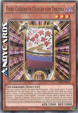 FIORE CARDIAN DI CILIEGIO CON TENDINA