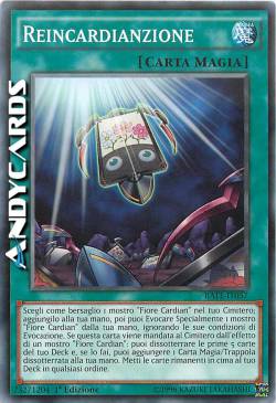 REINCARDIANZIONE