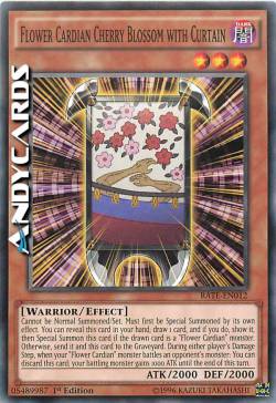 FIORE CARDIAN DI CILIEGIO CON TENDINA