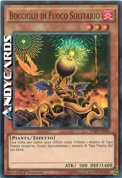 BOCCIOLO DI FUOCO SOLITARIO
