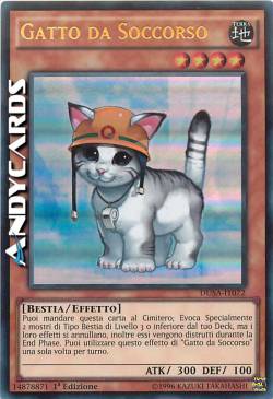 GATTO DA SOCCORSO