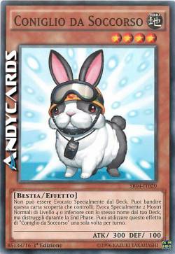 CONIGLIO DA SOCCORSO