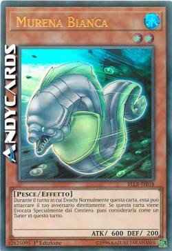 MURENA BIANCA
