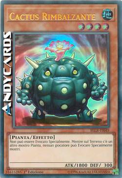 CACTUS RIMBALZANTE