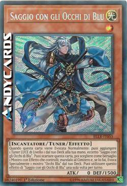 SAGGIO CON GLI OCCHI DI BLU