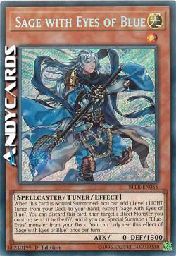 SAGGIO CON GLI OCCHI DI BLU