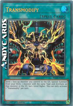 TRANSMODIFY