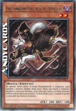 RYKO, COMBATTENTE FEDELE DELLA LUCE CREPUSCOLARE