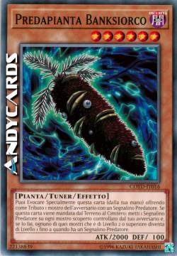 PREDAPIANTA BANKSIORCO