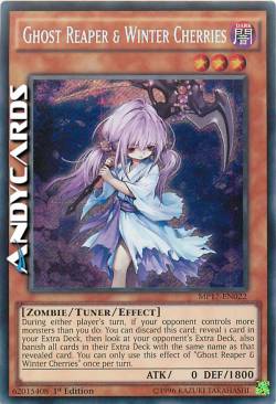 MIETITORE FANTASMA & FIORI DI CILIEGIO INVERNALI