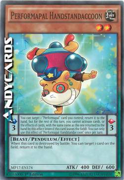 PERFORMAPAL HANDSTANDACCOON