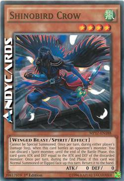 SHINOBIRD CORVO