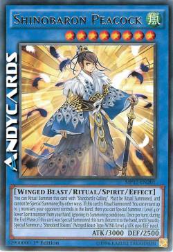 SHINOBIBARONE PAVONE