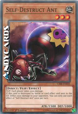 FORMICA AUTO-DISTRUTTIVA