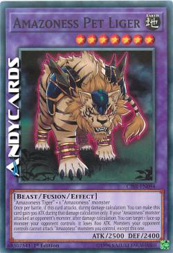 LIGRE DOMESTICO AMAZONESS