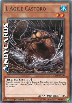 L'AGILE CASTORO