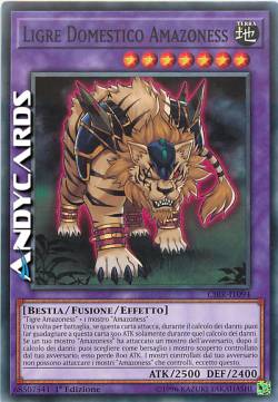 LIGRE DOMESTICO AMAZONESS