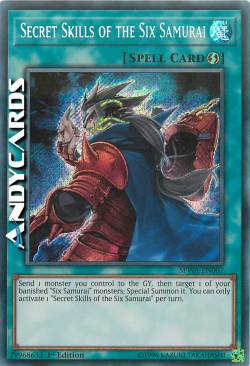 ABILITÀ SEGRETE DEI SEI SAMURAI