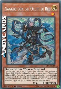 SAGGIO CON GLI OCCHI DI BLU