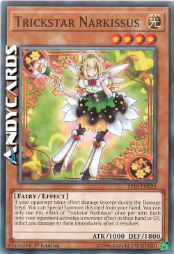 TRUCCASTELLA NARCIBACIO