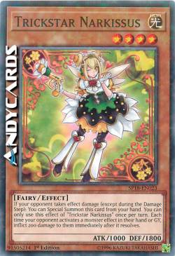 TRUCCASTELLA NARCIBACIO