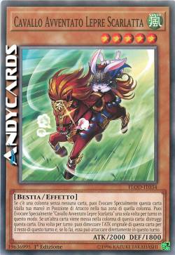 CAVALLO AVVENTATO LEPRE SCARLATTA