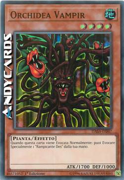 ORCHIDEA VAMPIR