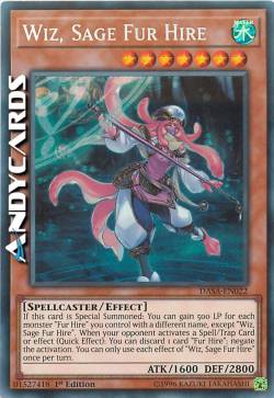 WIZ, SAGGIA PELLICCIA MERCENARIA