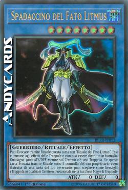 SPADACCINO DEL FATO LITMUS