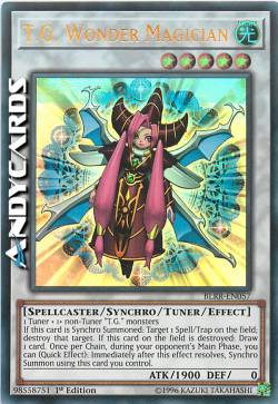 T.G. MAGA MERAVIGLIOSA