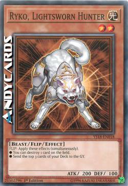 RYKO, CACCIATORE FEDELE DELLA LUCE