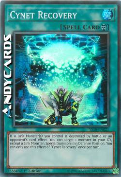 CYNET RECUPERO