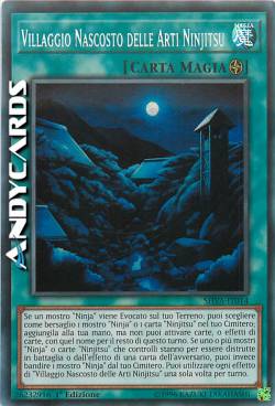 VILLAGGIO NASCOSTO DELLE ARTI NINJITSU