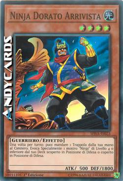 NINJA DORATO ARRIVISTA