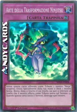 ARTE DELLA TRASFORMAZIONE NINJITSU