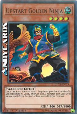 NINJA DORATO ARRIVISTA