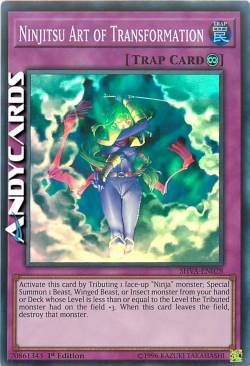 ARTE DELLA TRASFORMAZIONE NINJITSU