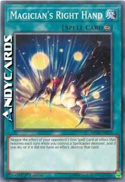 MANO DESTRA DEL MAGO