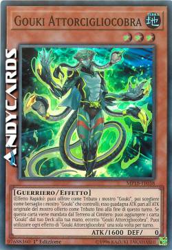 GOUKI ATTORCIGLIOCOBRA