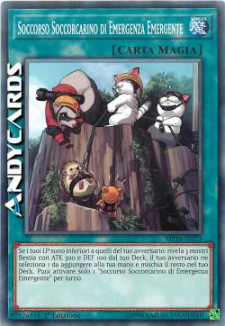 SOCCORSO SOCCORCARINO DI EMERGENZA EMERGENTE